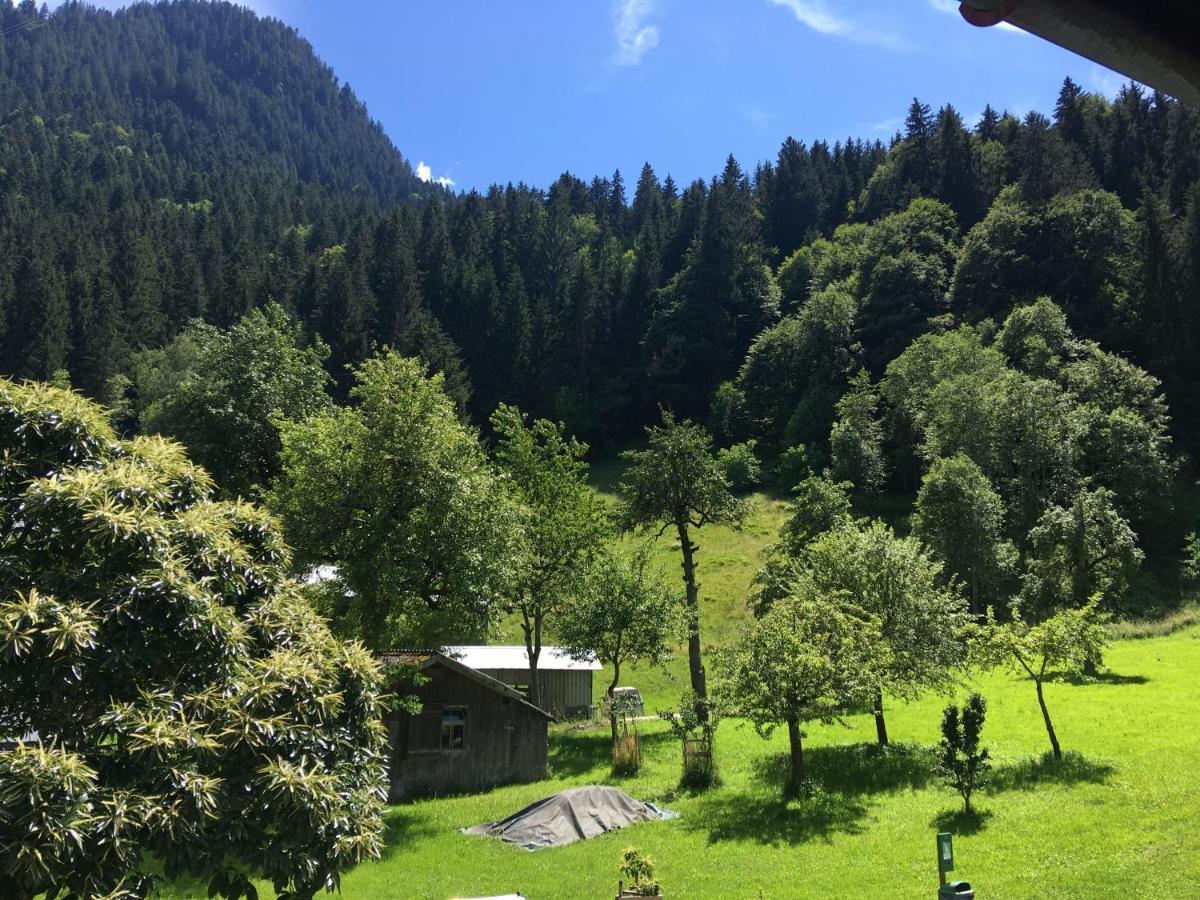 Haus Galgenul Sankt Gallenkirch Exterior foto